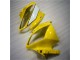 Amarelo Branco Preto Plástico R6 2006-2007 Amarelo Branco Preto Plástico R6 2006-2007