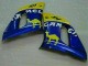 Amarelo Carenagem R6 1998-2002 Amarelo Carenagem R6 1998-2002