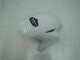 Azul Branco Carroçaria CBR 1000RR 2004-2005 Azul Branco Carroçaria CBR 1000RR 2004-2005