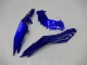 Azul Branco Preto Carenagem EX300 2013-2016