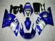 Azul Carroçaria R6 1998-2002 Azul Carroçaria R6 1998-2002