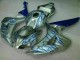 Azul Chama Prata Carenagem CBR 1000RR 2006-2007 Azul Chama Prata Carenagem CBR 1000RR 2006-2007
