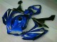 Azul Plásticos R1 2007-2008 Azul Plásticos R1 2007-2008
