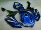 Azul Plásticos R1 2007-2008 Azul Plásticos R1 2007-2008