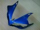 Azul Plásticos R1 2007-2008 Azul Plásticos R1 2007-2008