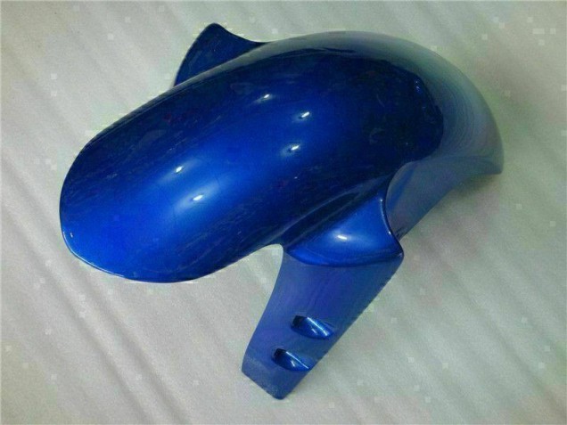 Azul Plásticos R1 2007-2008 Azul Plásticos R1 2007-2008