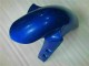 Azul Plásticos R1 2007-2008 Azul Plásticos R1 2007-2008