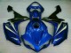 Azul Plásticos R1 2007-2008 Azul Plásticos R1 2007-2008
