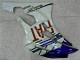 Branco Azul Carroçaria R6 2006-2007 Branco Azul Carroçaria R6 2006-2007