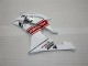 Branco Carroçaria R6 2008-2016 Branco Carroçaria R6 2008-2016