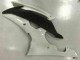 Branco Kit Carenagem R6 2008-2016 Branco Kit Carenagem R6 2008-2016