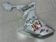 Branco Plásticos R1 2007-2008 Branco Plásticos R1 2007-2008