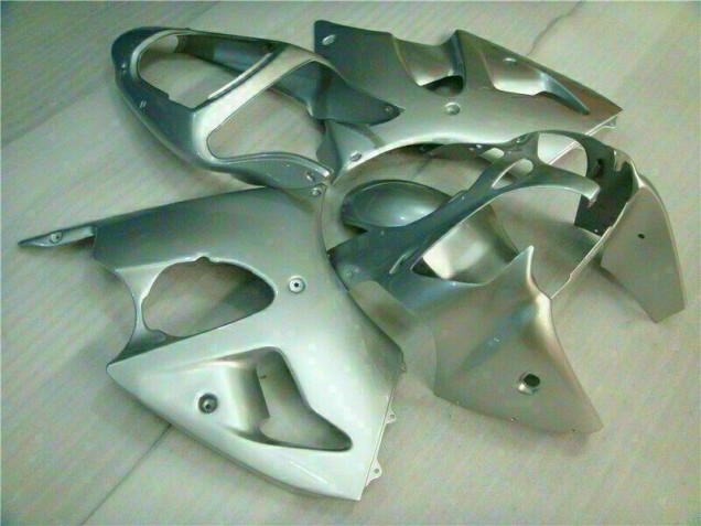 Prata Carenagem ZX6R 2000-2002 Prata Carenagem ZX6R 2000-2002