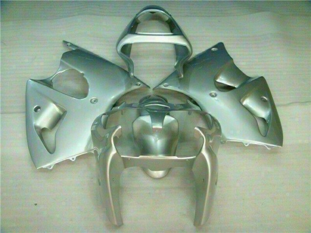 Prata Carenagem ZX6R 2000-2002 Prata Carenagem ZX6R 2000-2002