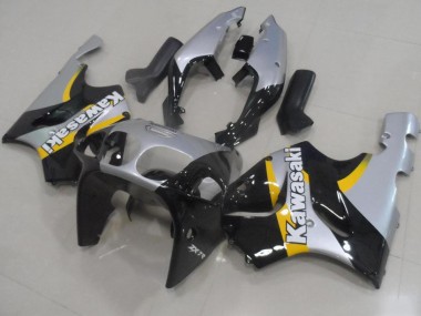 Prata & Preto Carenagem ZX9R 2000-2001