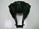 Preto Brilhante Carenagem ZX10R 2011-2015 Preto Brilhante Carenagem ZX10R 2011-2015
