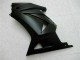Preto Fosco Carroçaria EX250 2008-2012 Preto Fosco Carroçaria EX250 2008-2012