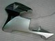 Preto Plástico CBR 600RR 2005-2006