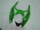 Preto Verde Injeção Kit Carenagem ZX6R 2009-2012