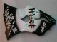 Preto West Ninja Carenagem ZX6R 2003-2004