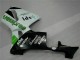 Verde Abs Kit Completos Carenagem CBR 600RR 2005-2006 Verde Abs Kit Completos Carenagem CBR 600RR 2005-2006