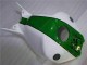 Verde Branco Carenagem CBR 1000RR 2004-2005 Verde Branco Carenagem CBR 1000RR 2004-2005