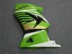 Verde Branco Preto Ninja Carenagem EX250 2008-2012 Verde Branco Preto Ninja Carenagem EX250 2008-2012
