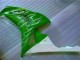 Verde Carenagem CBR 1000RR 2006-2007 Verde Carenagem CBR 1000RR 2006-2007
