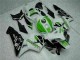 Verde Carroçaria CBR 600RR 2005-2006 Verde Carroçaria CBR 600RR 2005-2006