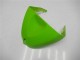 Verde Kits Carenagem ZX6R 2005-2006