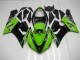 Verde Kits Carenagem ZX6R 2005-2006