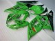 Verde Plástico GSXR 1000 K5 2005-2006