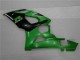 Verde Plásticos GSXR 1000 K5 2005-2006 Verde Plásticos GSXR 1000 K5 2005-2006