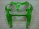 Verde Preto Abs Carenagem ZX6R 2000-2002