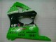 Verde Preto Abs Carenagem ZX6R 2000-2002