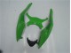 Verde Preto Abs Kit Completos Carenagem ZX6R 2009-2012