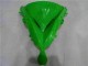 Verde Preto Carenagem EX650 2006-2008