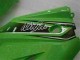 Verde Preto Carroçaria EX250 2008-2012