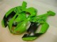 Verde Preto Dunlop Carenagem ZX6R 2007-2008