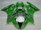 Verde Preto LeoVince Carenagem ZX6R 2009-2012 Verde Preto LeoVince Carenagem ZX6R 2009-2012