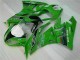 Verde Preto LeoVince Carenagem ZX6R 2009-2012 Verde Preto LeoVince Carenagem ZX6R 2009-2012