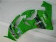 Verde Preto LeoVince Carenagem ZX6R 2009-2012 Verde Preto LeoVince Carenagem ZX6R 2009-2012