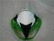 Verde Preto LeoVince Carenagem ZX6R 2009-2012 Verde Preto LeoVince Carenagem ZX6R 2009-2012
