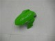 Verde Preto Prata Carenagem EX300 2013-2016 Verde Preto Prata Carenagem EX300 2013-2016