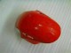 Vermelho Prata Abs Plásticos CBR 1000RR 2008-2011